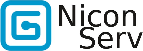 logo-nicon-serv (1)